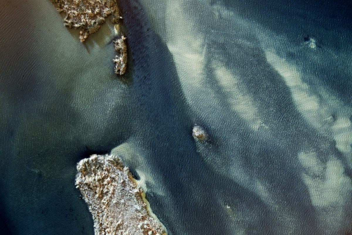 Local artist Jonah Allen challenges people to see the coastline differently
