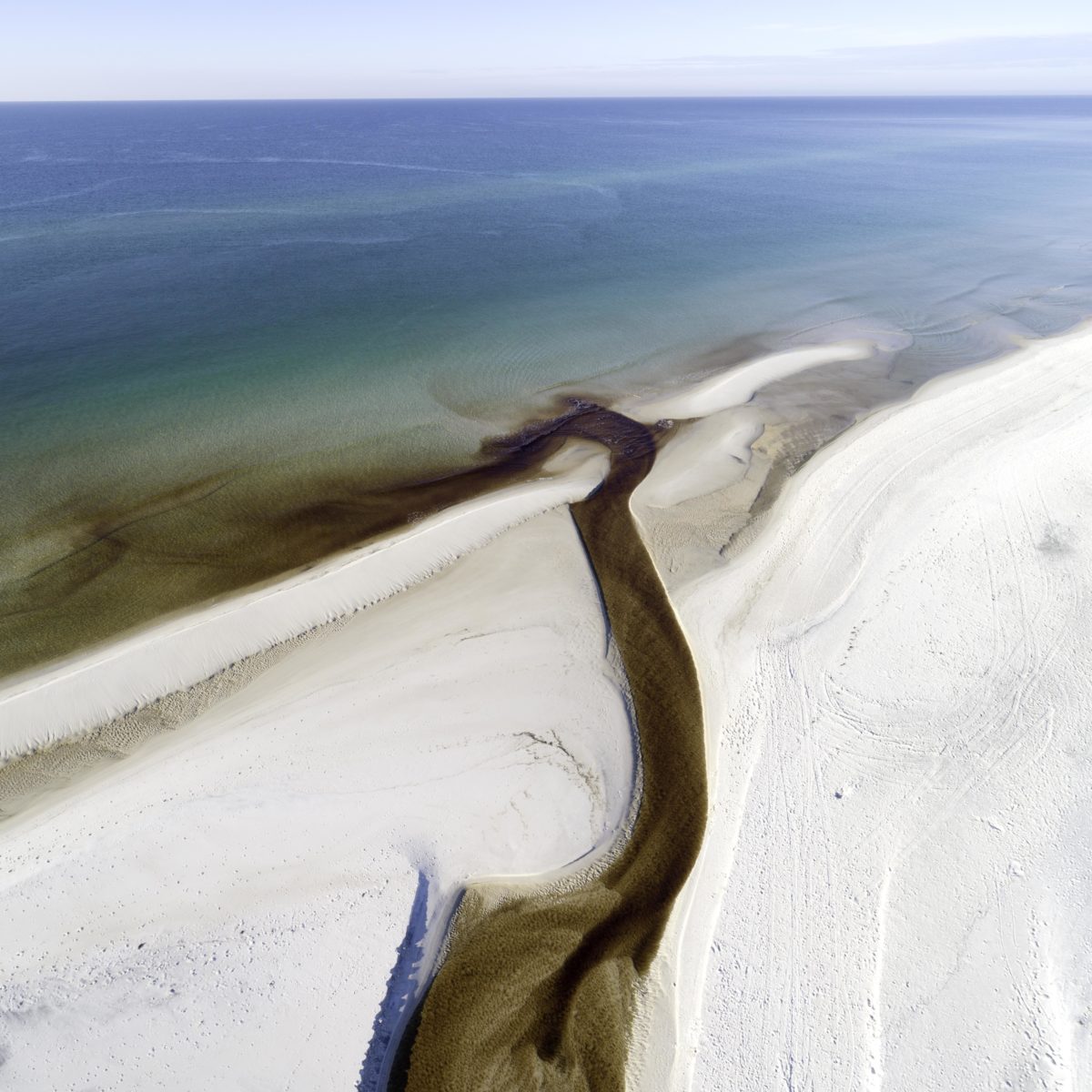 Local artist Jonah Allen challenges people to see the coastline differently