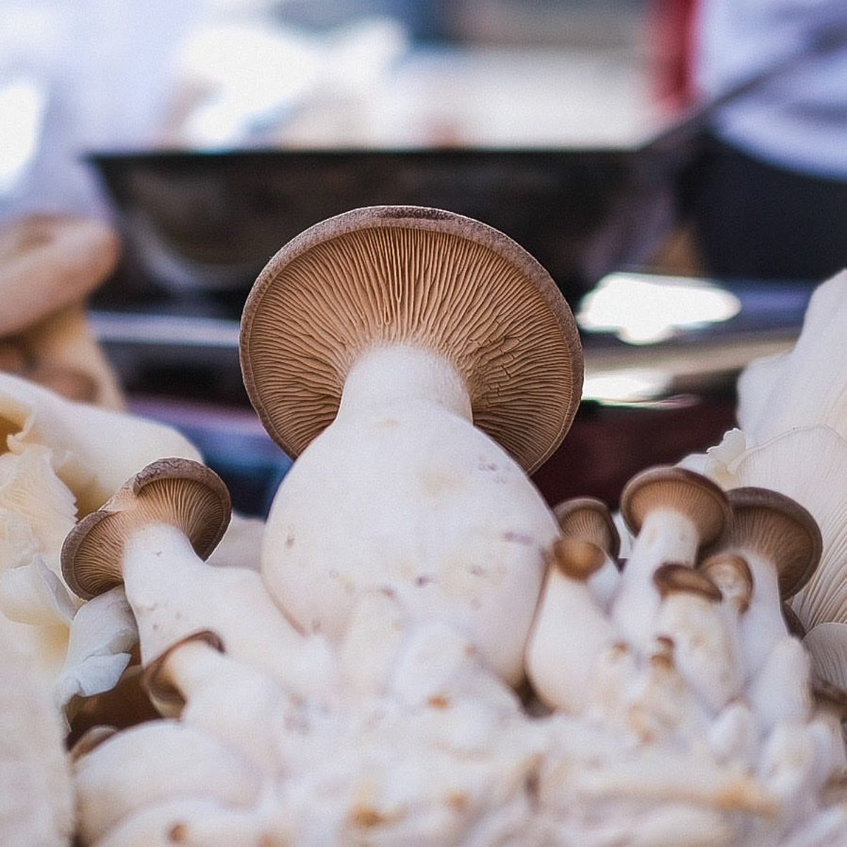 Seaside's Paradise Mushrooms Offers Fresh Fungi at the Farmers Market
